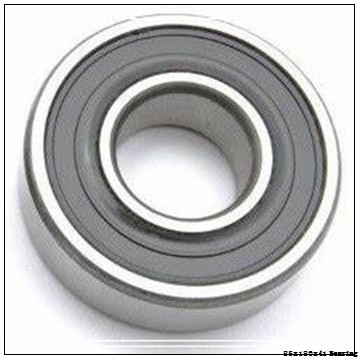 Low Noise cylindrical cylindrical roller bearing NUP317 ECP ECM Size 85X180X41