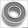 6317C3VL0241 Electrically Insulated Deep Groove Ball Bearing