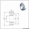 High quality cylindrical roller bearing NU2236ECML/C3 Size 180X320X86