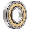 High quality agricultural machinery cylindrical roller bearing NJ317ECP Size 85X180X41 #3 small image