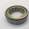 Hot Selling N312EG15 Cylindrical Roller Bearing #3 small image
