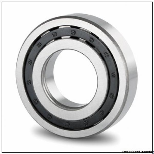 NUP 214 ECP Bearing sizes 70x125x24 mm Cylindrical roller bearing NUP214ECP #2 image