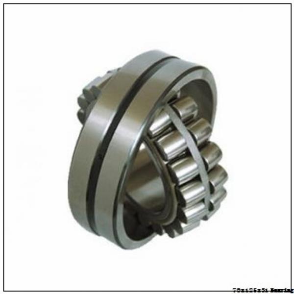NACHI Double row 22214 spherical roller bearings 22214EXW33 for Pumps and Gearboxes parts #1 image