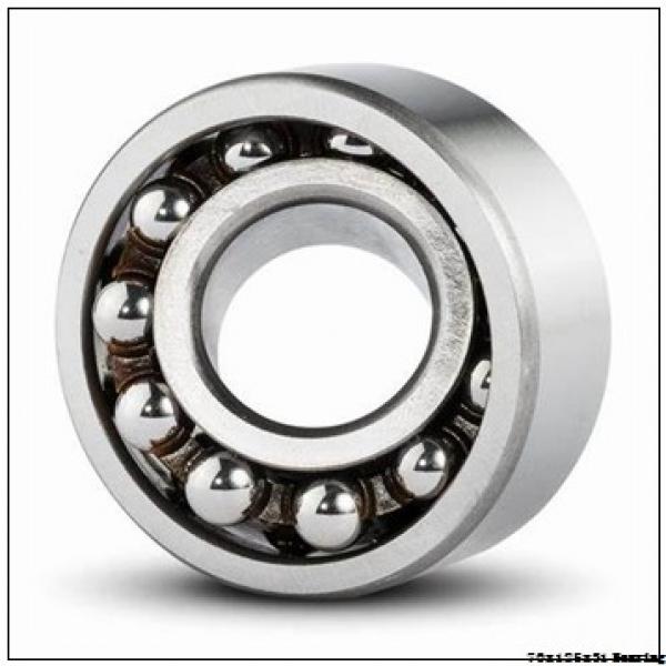 70 mm x 125 mm x 31 mm  Good quality NSK spherical roller bearing 22214EAE4 70X125X31 mm #1 image